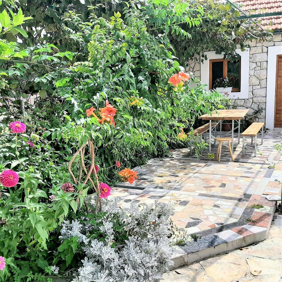 Apartments"Nika" With Private Pool Galovac  Exterior foto